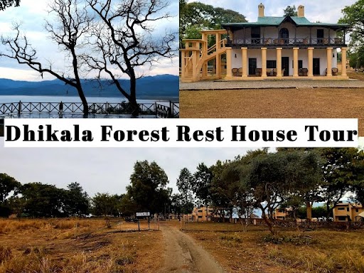 Tour of Dhikala Forest Rest House, a serene getaway amidst lush greenery and wildlife in the heart of nature.