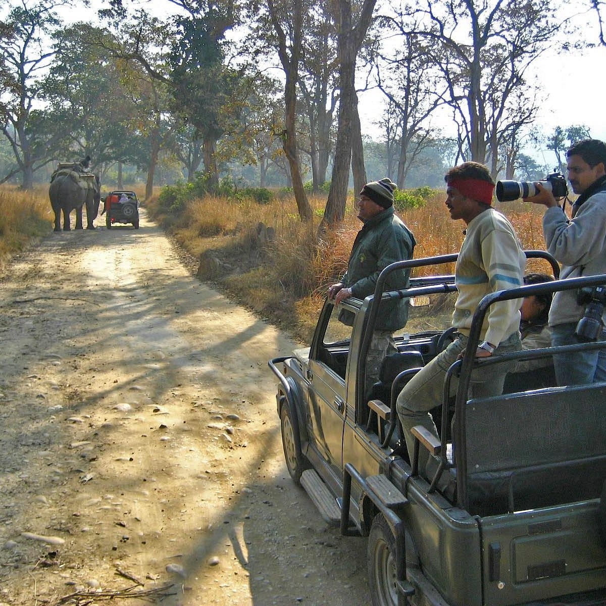 A group of people riding in a jeep on a dirt road, enjoying an adventurous journey through nature's rugged terrain.