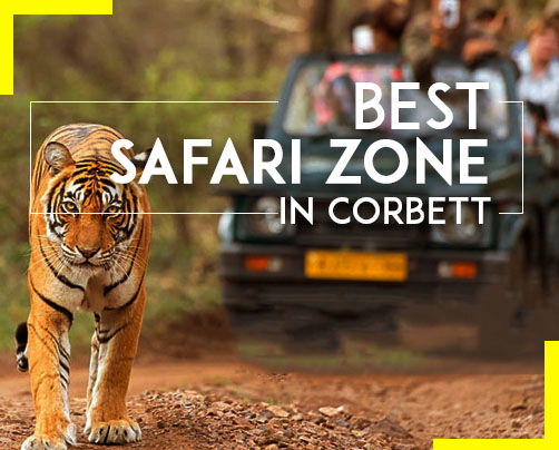 Best safari zone in Corbett: Explore the captivating wilderness of Corbett National Park, home to diverse wildlife and breathtaking landscapes.
